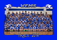 WF MS Track