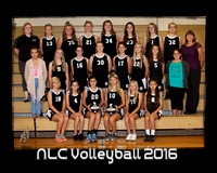 NLC Volleyball